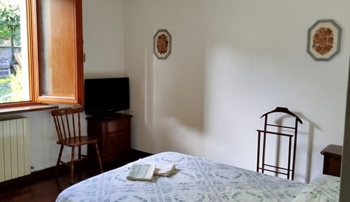 Basic Room, Garden View