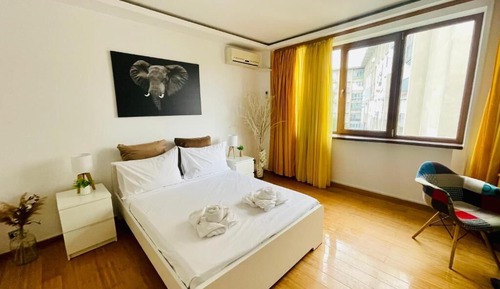 Comfort Studio, City View