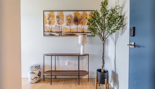 Deluxe Apartment, City View