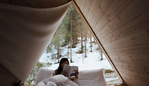 Cabin, 1 Bedroom, Mountain View