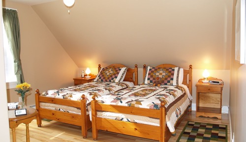 Comfort Room, 2 Twin Beds (Mason & Hamlin Room)