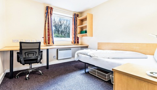 Standard Single Room, 1 Twin Bed