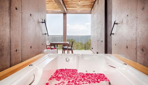 Presidential Room, Jetted Tub, Valley View