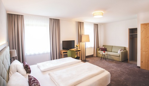 Comfort Double Room, Mountain View