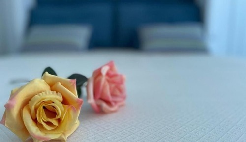 Luxury Studio, Pool View