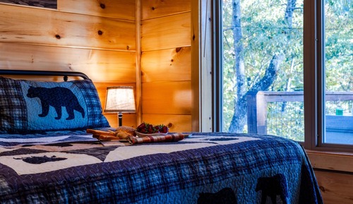Family Cabin, Mountain View