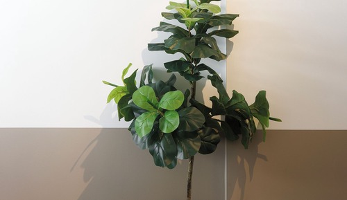 Superior Apartment, City View