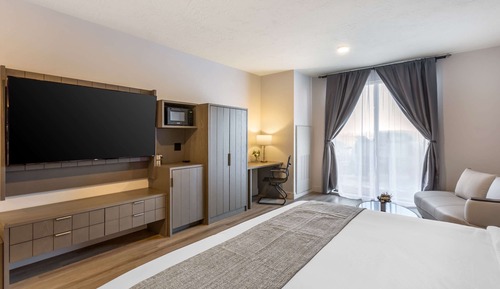 Room, 1 King Bed, Accessible, Non Smoking