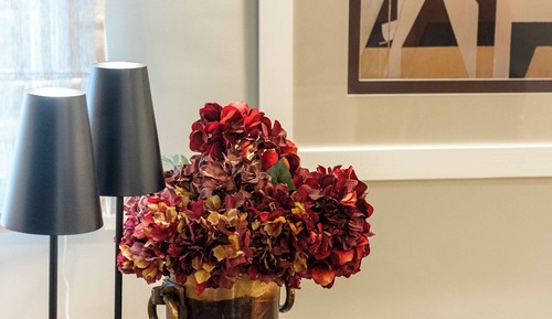 Superior Room, Vineyard View (Ampelos)