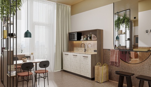 Sustainable Executive Studio