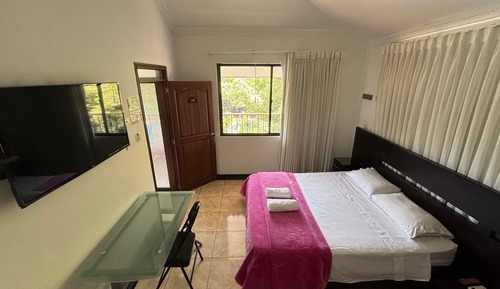 Room, Garden View