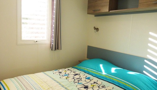 ARIZONA STANDARD 6 p