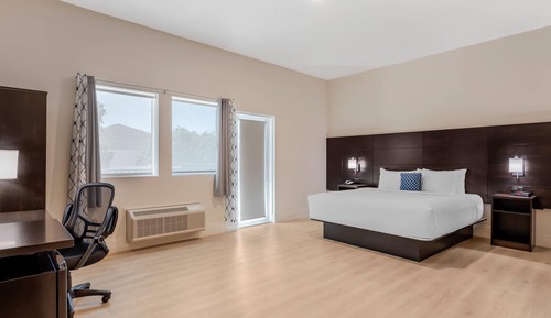 Room, 1 King Bed, Roll-in Shower, Non Smoking (Balcony, Garden Side)