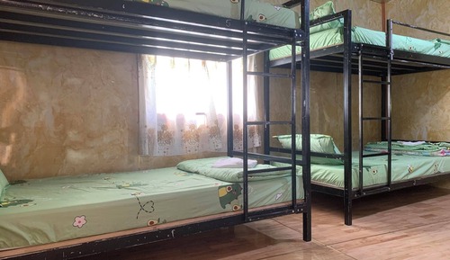 Comfort Shared Dormitory