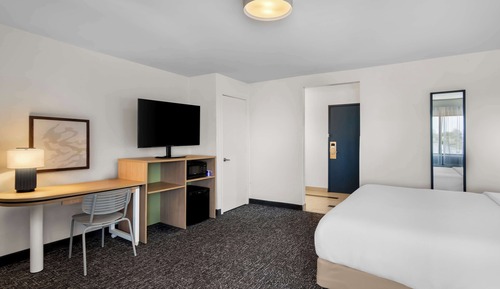 Room, 1 King Bed with Sofa bed