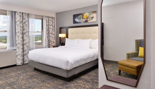 Room, 1 King Bed