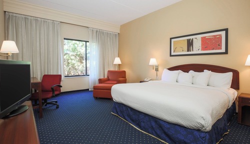 Room, 1 King Bed with Sofa bed, Non Smoking