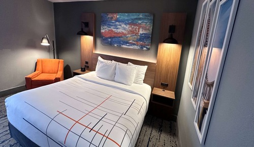Room, 1 King Bed, Non Smoking (Pet-Friendly)