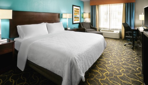 Standard Room, 1 King Bed, Accessible (Communications)