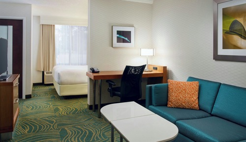 Studio, 1 King Bed with Sofa bed (Mobility Accessible, Tub)