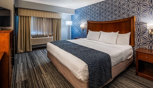 Standard Room, 1 Queen Bed, Accessible, Bathtub (Pet Friendly)