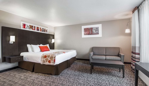 Executive Room, 1 King Bed, Non Smoking