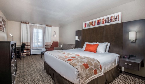 Room, 1 King Bed, Non Smoking