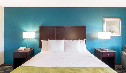 Room, 1 King Bed, Non Smoking