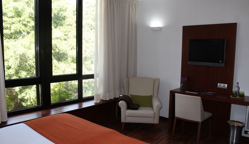 Comfort Single Room