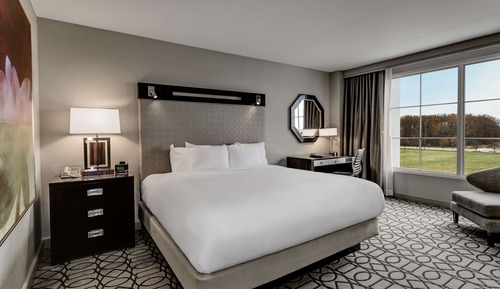 Room, 1 King Bed, Non Smoking, View
