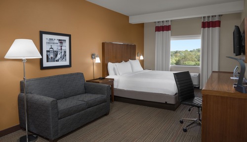 Room, 1 King Bed with Sofa bed, Non Smoking