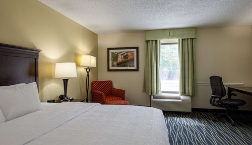 Studio, 1 King Bed, Refrigerator & Microwave (Shower)