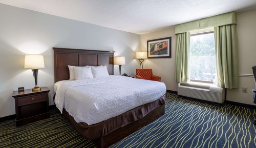 Room, 1 King Bed with Sofa bed (Large Room, Shower Only)
