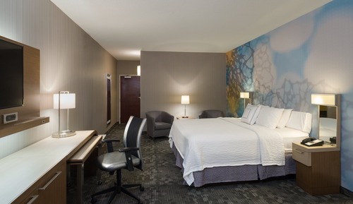 Room, 1 King Bed with Sofa bed