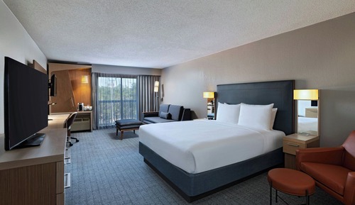 Room, 1 King Bed with Sofa bed