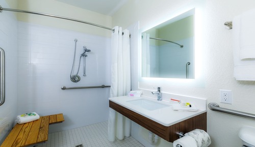 Standard Room, 1 Queen Bed, Accessible (Comm, Roll-In Shower)