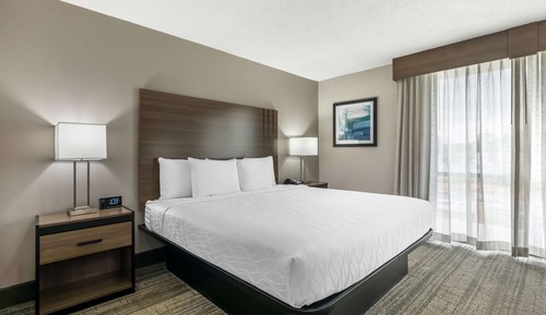 Standard Room, 1 King Bed, Non Smoking, Refrigerator & Microwave (with Single Sofabed)