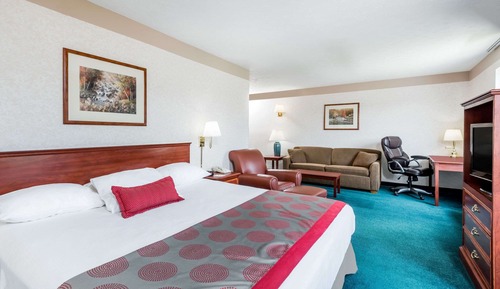 Suite, 1 King Bed