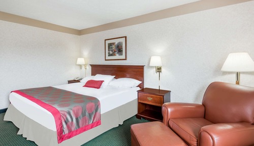 Standard Room, 1 King Bed