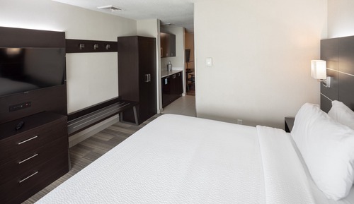 Suite, 1 King Bed with Sofa bed