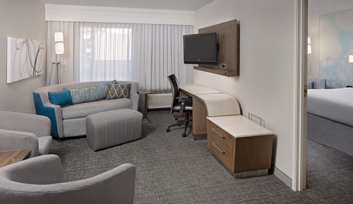 Suite, 1 King Bed with Sofa bed