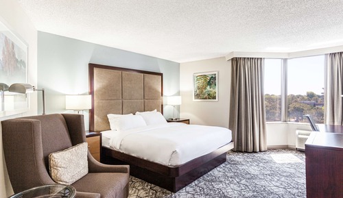 Room, 1 King Bed, Accessible