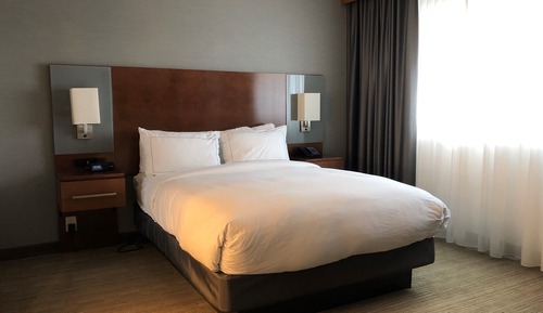 Suite, 1 Queen Bed