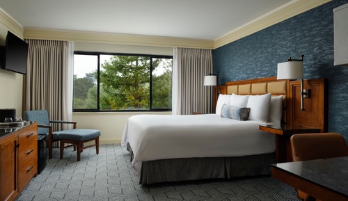 Deluxe Room, 1 King Bed