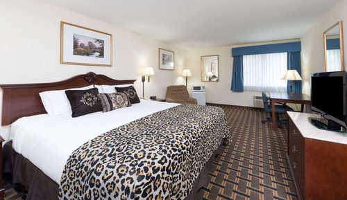Room, 1 King Bed, Non Smoking