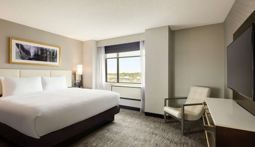 Suite, 1 King Bed with Sofa bed