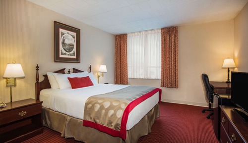 Room, 1 Queen Bed, Non Smoking