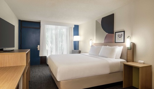 Room, 1 King Bed