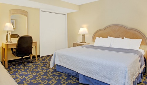 Suite, 1 King Bed