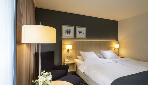 Comfort Single Room